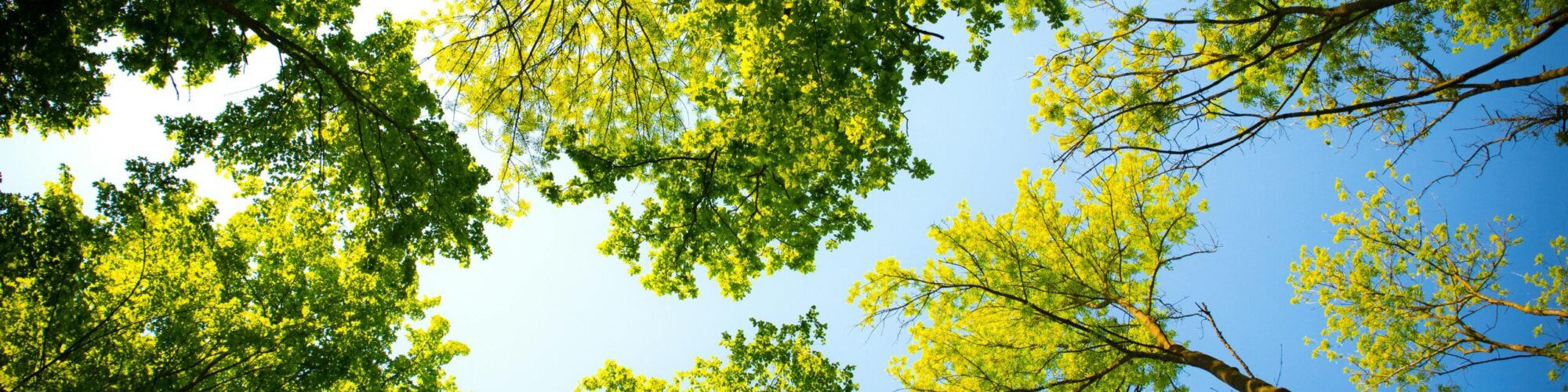 Sustainability